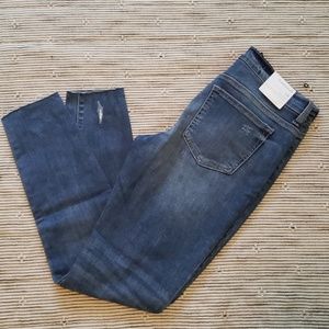 Francesca's denim (Harper)